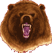 Bear's head